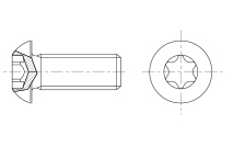Flachkopfschraube mit Innensechsrund (I6R)